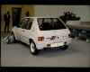 205 rally 3.jpg (38491 octets)
