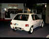 205 rally AR '90.jpg (42950 octets)